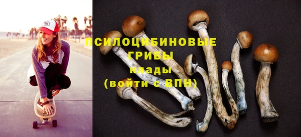 прущий лед Алексин