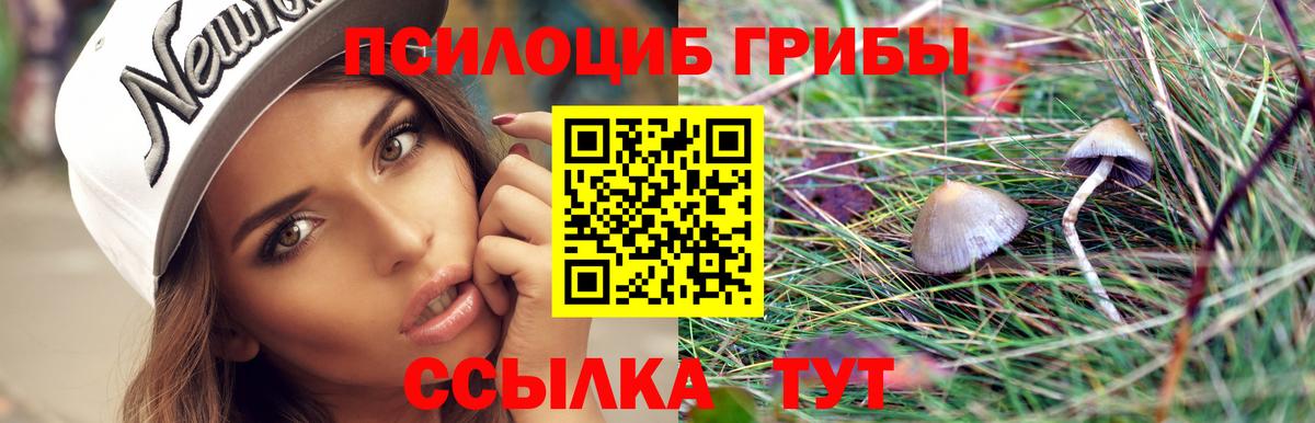 Псилоцибиновые грибы мухоморы Ачинск