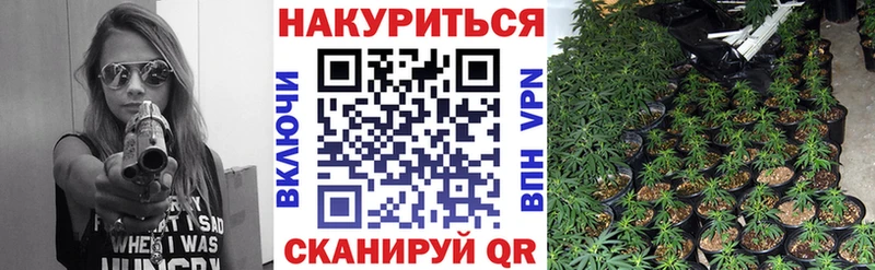 продажа наркотиков  Ачинск  Шишки марихуана конопля 